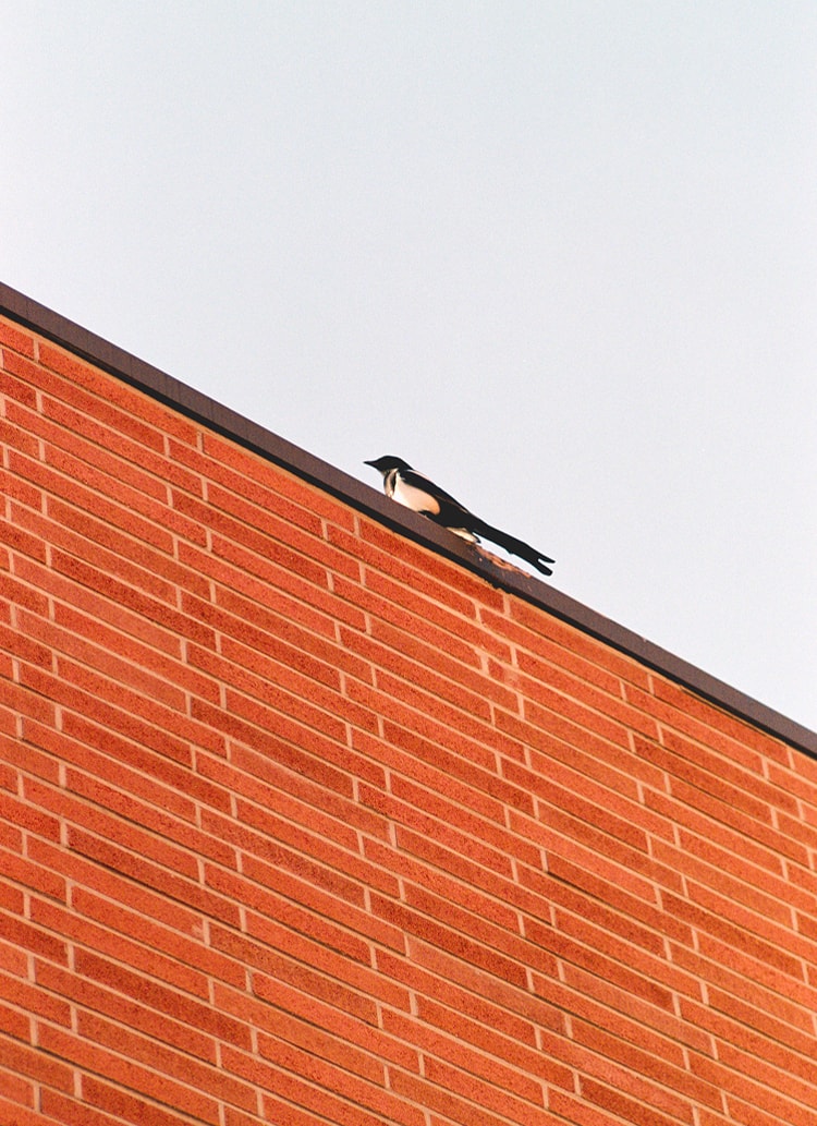 Annyeong!Seoul! Seoul city  vol.03