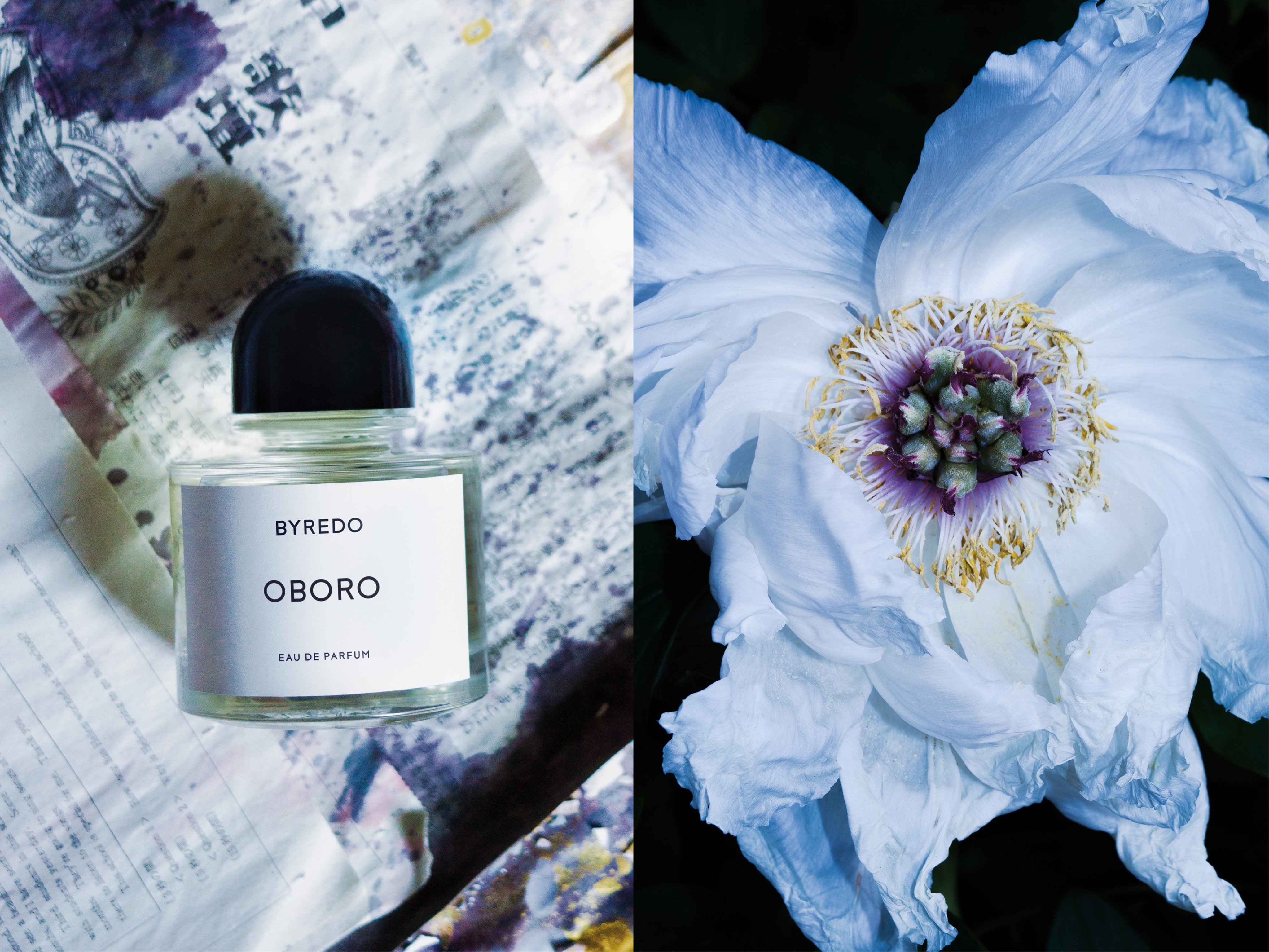 曖昧に宿る、美しさを描く。BYREDOから日本限定のオードパルファン「OBORO」が誕生。